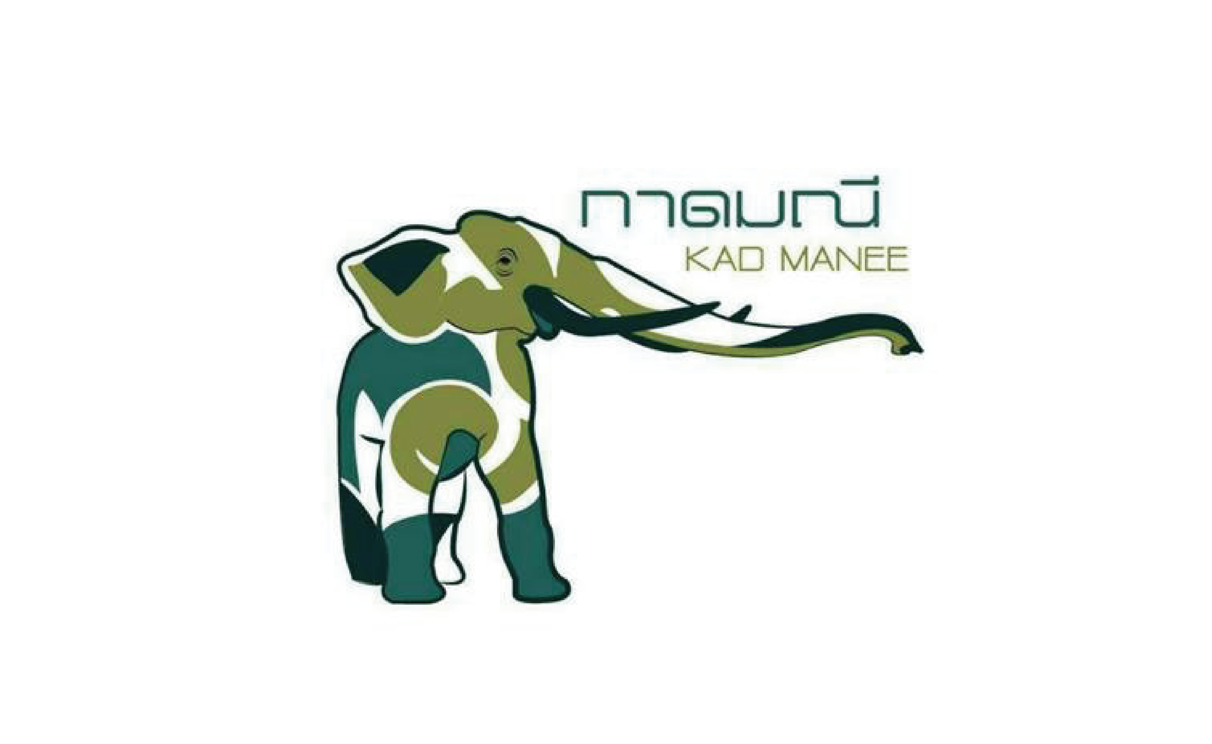 Logo Partner-11