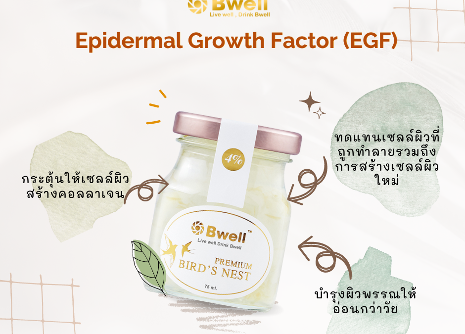 Epidermal Growth Factor ( EGF )  คืออะไร ? และช่วยอะไรบ้าง?